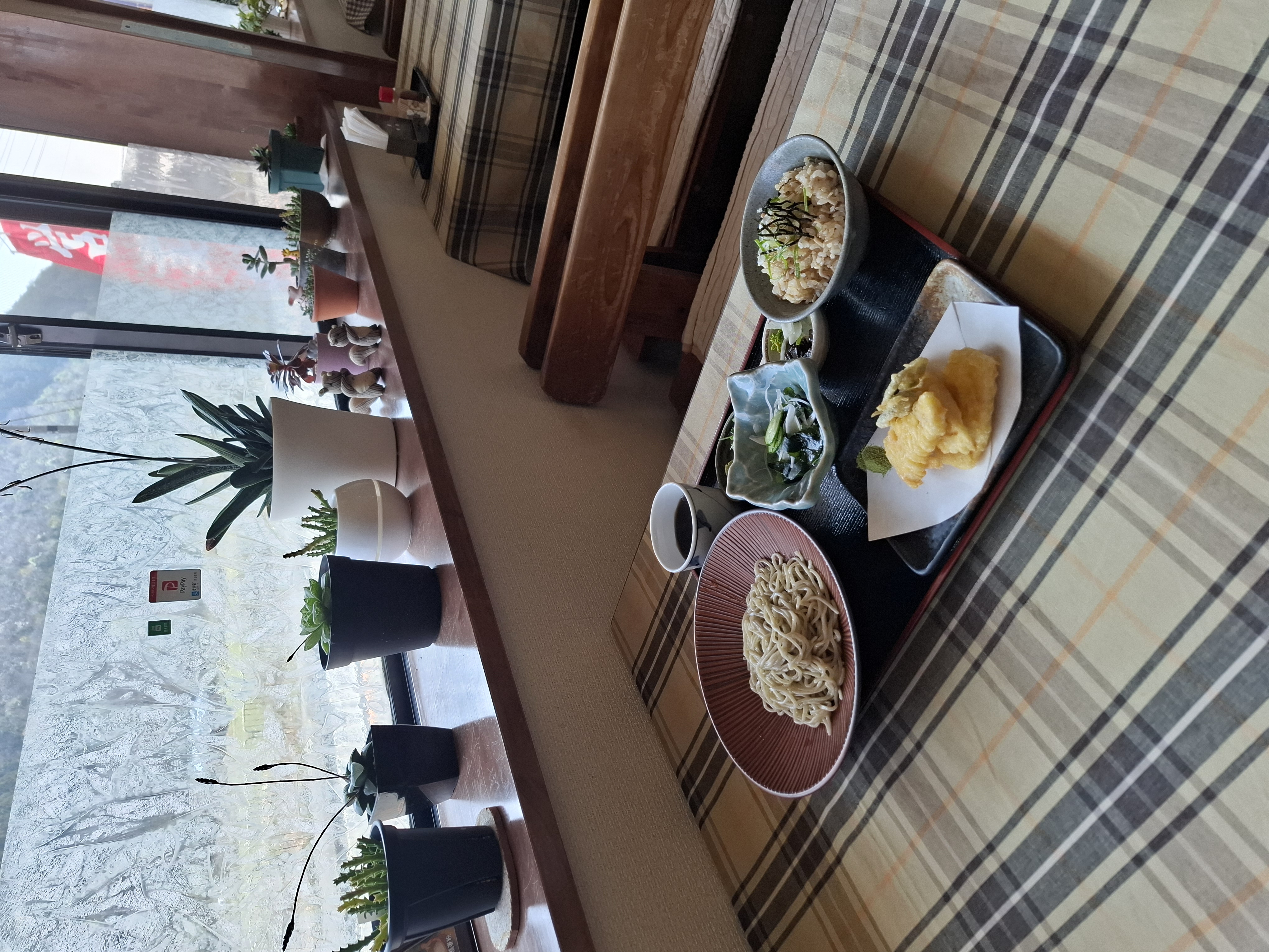 季節の天婦羅そば定食と多肉植物